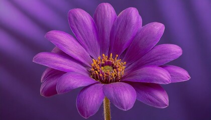 A close-up view of a vibrant purple flower standing out against a lush purple background, creating a visually striking contrast