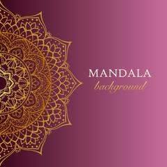 Vector luxury ornamental gold mandala design magenta background 