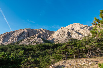 Scenic hiking trail through idyllic conifer forest to majestic mountain ridges in coastal town Baska, Krk Otok, Primorje-Gorski Kotar, Croatia, Europe. Alpine landscape in serene atmosphere in summer