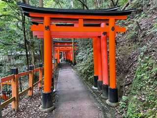 Red Majesty: Fushimi Inari Taisha Torii Tunnel, Kyoto, Japan