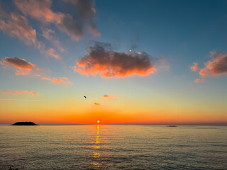 Free seagull bird flying over dramatic sunset at coastal village Funtana, Istria, Croatia, EU. Calm...