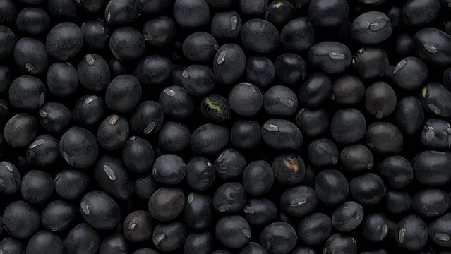 Macro view of black soybean as an abstract food pattern. Uncooked dry roasted beans to destroy trypsin inhibitors. Spinning around the left corner.