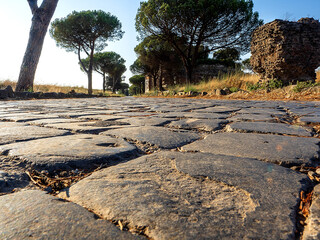 The ancient Roman road called the Appian Way, taken at ground level with the stones forming its pavement in the very foreground. On either side are pine trees and ancient Roman ruins.