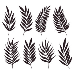 Palm tree leaf silhouettes set isolated on white background
