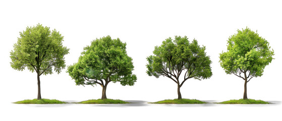 Set of different trees on transparent background