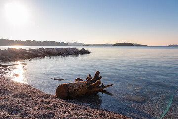 Stranded tree trunk lying on stone beach during sunrise in coastal village Funtana, Istria,...