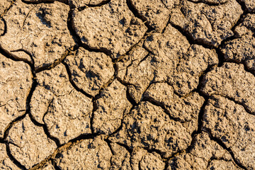 Background of the cracked dry barren soil. Global warming concept