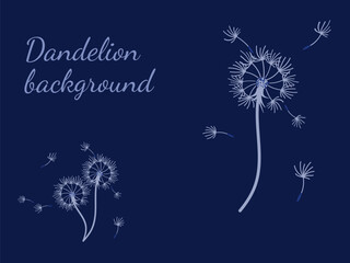 Abstract background dandelion design for decoration design. - 756722154