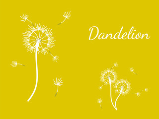 Abstract background dandelion design for decoration design. - 756722536