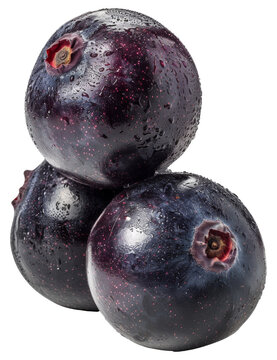 Whole black acai berrie with water droplets on transparent background - stock png.