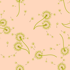 Dandelion background your design. Abstract floral seamless pattern. - 756723160