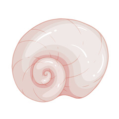 Colorful seashell.Clam shell.Vector graphic.