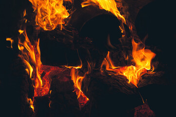 A mesmerizing close up of a bonfire in nature, with flames dancing against a black background. The heat and flickering flames create a captivating event, reminiscent of a cozy fireplace or campfire