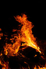 A mesmerizing close up of  bonfire in nature, with flames dancing against black background. heat and flickering flames create  captivating event, reminiscent of  cozy fireplace or campfire