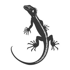 Naklejka premium Silhouette lizard animal black color only full body