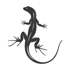 Naklejka premium Silhouette lizard animal black color only full body