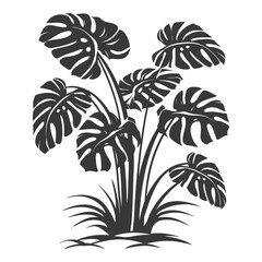 Silhouette monstera plant in the ground black color only 