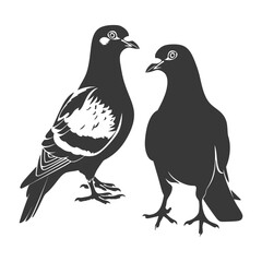 Obraz premium Silhouette pigeon bird animal couple pigeon black color only