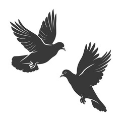 Obraz premium Silhouette pigeon bird animal fly couple pigeon black color only