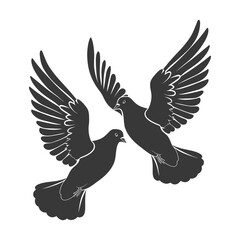 Silhouette pigeon bird animal fly couple pigeon black color only