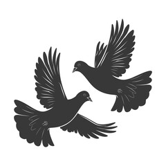 Obraz premium Silhouette pigeon bird animal fly couple pigeon black color only