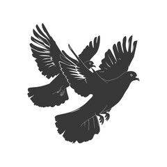 Silhouette pigeon bird animal fly couple pigeon black color only