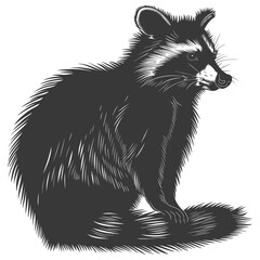 Obraz premium Silhouette Raccoon Animal black color only full body