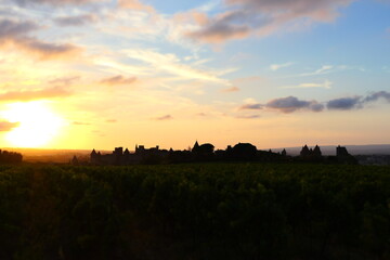 Sunset view of the fortified city of Carcassonne, from the vineyards. Medieval architectural complex restored by Viollet-le-Duc. World Heritage Site by UNESCO. Aude. Occitania. France