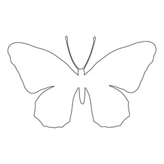 Outline of a winged insect butterfly. Vector graphics.