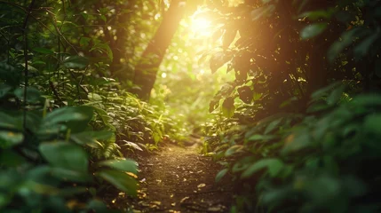  Green woodland trail, leaves dapple light, dynamic ecosystem in sharp detail © cvetikmart