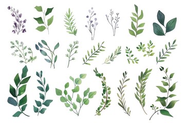 Assorted leaves on a plain white backdrop, suitable for nature or environmental concepts