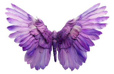 Lavender angel wings with feather details on transparent background - stock png.