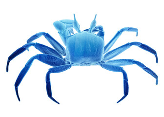 3d rendering of a crab, png format