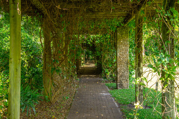 Fototapeta na wymiar Lush vegetation with path in a pretty tropical garden in Florida, USA