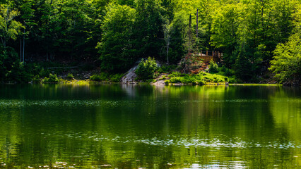 Fototapeta na wymiar Parc Omega, Canada - July 3 2020: By the lake in Omega Park in Quebec
