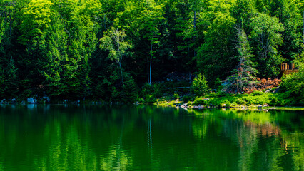 Fototapeta na wymiar Parc Omega, Canada - July 3 2020: By the lake in Omega Park in Quebec