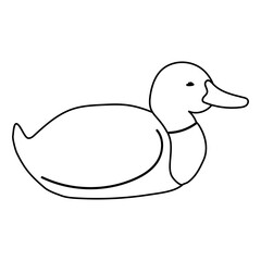 Coloring page with a wild duck. Black and white simple illustration of a bird. Isolated on white.