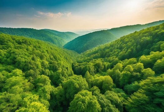 illustration, breathtaking aerial view lush forest canopy unfolding beneath clear blue sky, dense, landscape, photography, nature, scenery, woodland