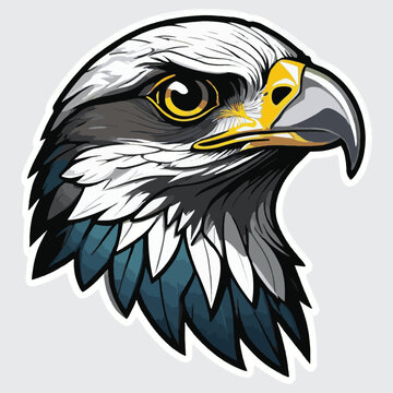vector isolated of falcon head