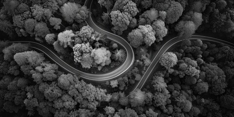 Aerial view of a winding road surrounded by trees. Perfect for travel and nature themes