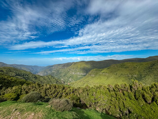 Obraz premium Scenic view of fresh green mountains and hills seen from subtropical Laurissilva forest Rabacal, Madeira island, Portugal, Europe. Idyllic hiking trail 25 Fonte along laurel trees. Diversified fauna