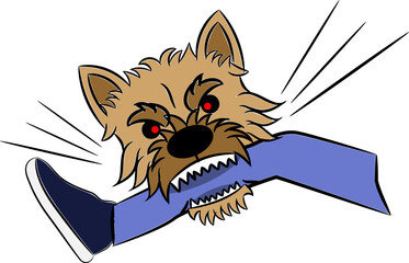 Norwich terrier dog biting human leg illustration sketch isolated on white