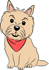 Norwich terrier dog smiling wearing red handkerchief sit colored sketch isolated on white