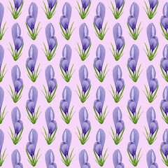 Watercolor spring crocuses seamless pattern, spring flower digital paper on pink background. Hand painted floral illustration. For textile design, packaging, wrapping paper, wallpaper, scrapbooking.