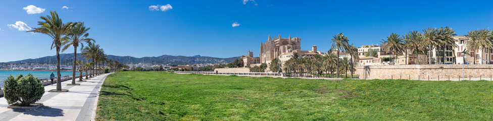 Sunny Seaside Promenade with Palm Trees Leading to Palma de Mallorca Cathedral - 756765190