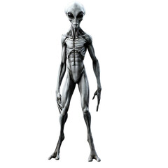 Alien isolated on transparent background