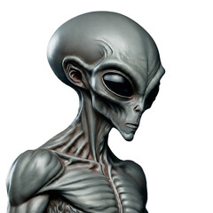 Alien isolated on transparent background