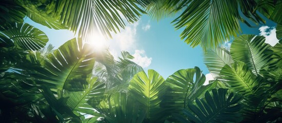 In the jungle, the suns light filters through the palm trees, creating a beautiful landscape where nature thrives with terrestrial plants and grass under the sky