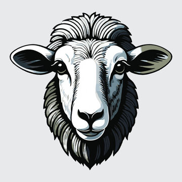 sheep head vector isolated