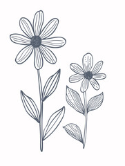 Single flower vector line art